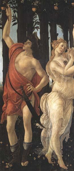 Sandro Botticelli Primavera oil painting image